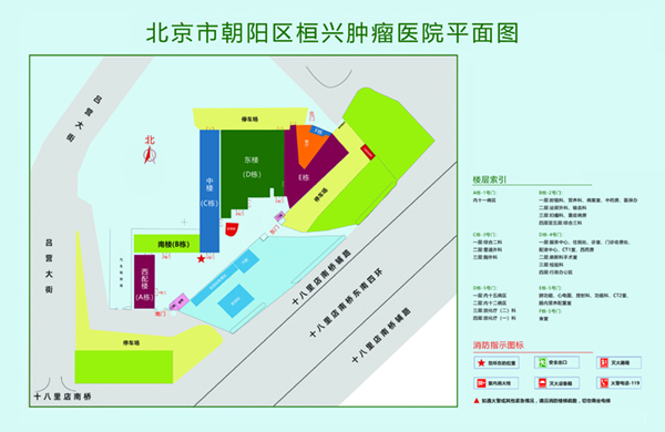 快用力肏我无毛逼视频北京市朝阳区桓兴肿瘤医院平面图